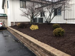 Commercial landscaping