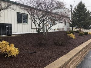 Commercial landscaping